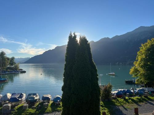 Dachwohnung mit Balkon am Brienzersee, Brienz BE