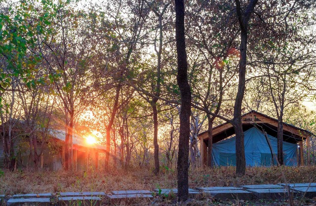 Daga Camp