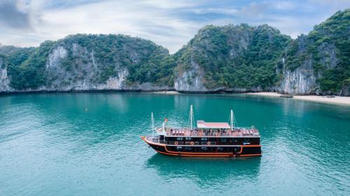 Daiichi Boutique Cruise