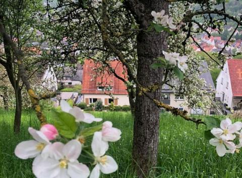 Dalhausen, Am Schönste Aussicht