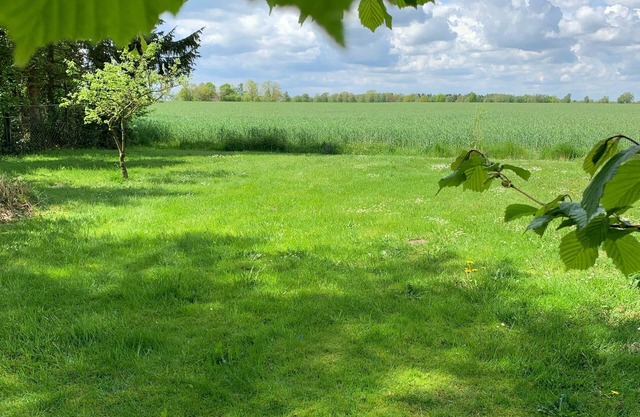 Das Heidenest im Weiten Land