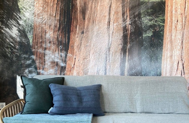 Das kernsanierte Design-Apartment NaturRaum im 3.Stock befindet sich im Zentrum