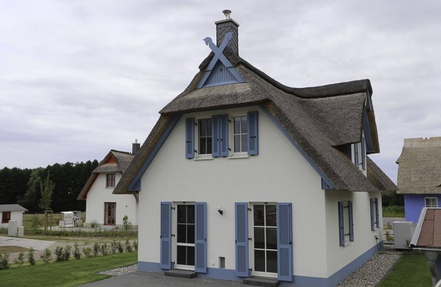 Das Reetgedeckte Ferienhaus Seeschwalbe mit Blick auf die Historische Windmühle in Stove, ist ein Traumhaftes Urlaubsdomizil