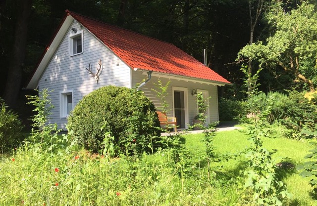 "das Waldhaus"