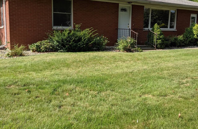 Davis Street Shipshewana