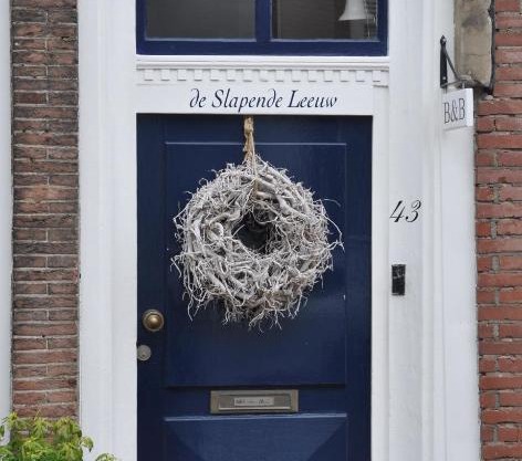 De Slapende Leeuw