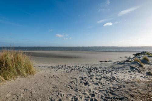 De Strandloper Vakantiehuisje aan het strand - Ferienwohnung am Meer