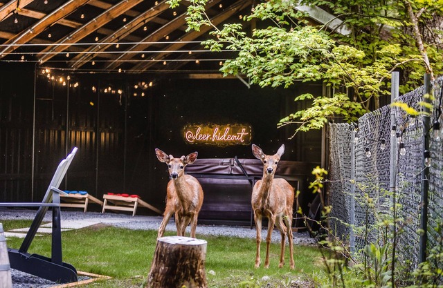 Deer Hideout - King bed/HS WiFi/Hot Tub/Fire Pit
