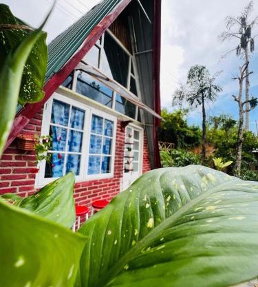 Dehigasella Cabana