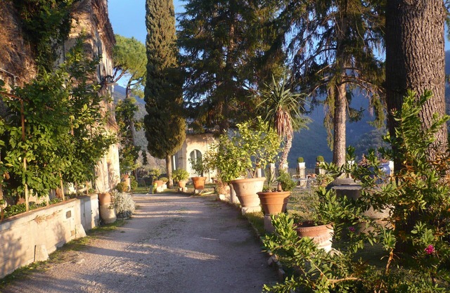 Delightful apartment in the greenery that tells the story of the Sabina