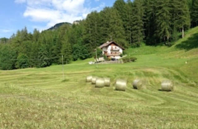 Delightful villa in Cortina set in an exclusive context and surrounded by meadows