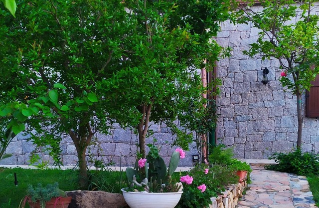 Delightful villa, 300 m from Calasinzias beach.