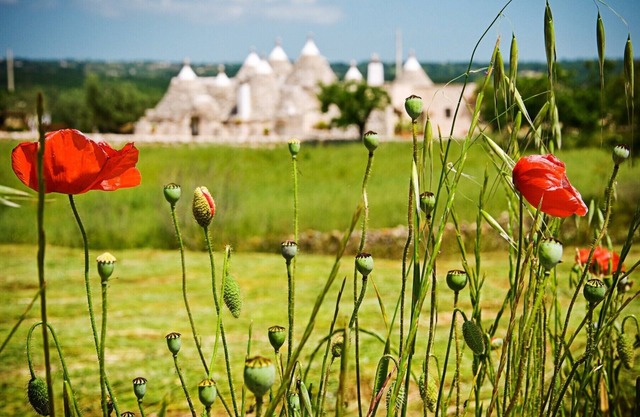 Dell'Aia: 1800s trullo house with garden view and ancient farmyard