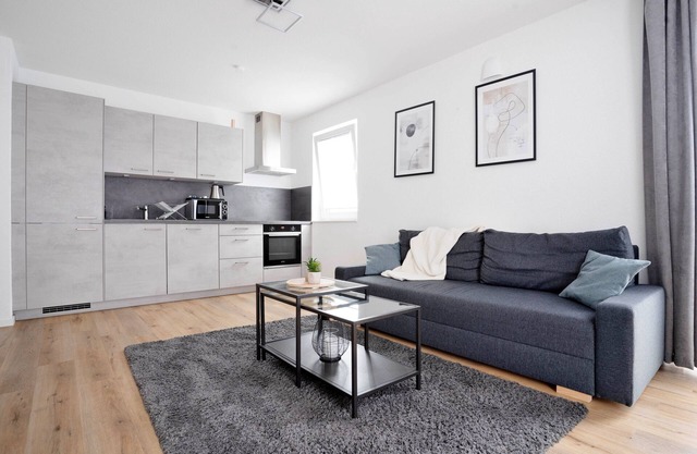 Deluxe apartment in the centre of OS