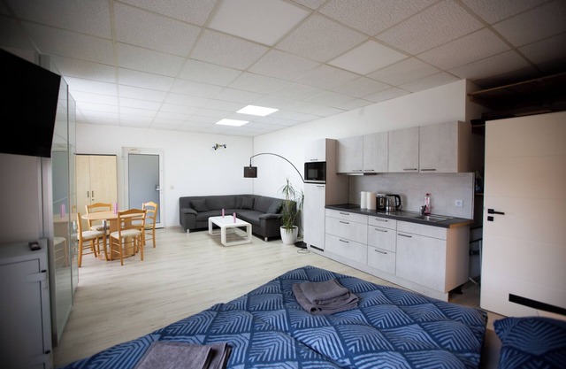 Deluxe Double Studio with kitchen line, bathroom, Shower, Toilet & king bed