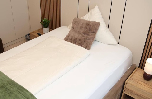 Deluxe Single room with Balcony 204