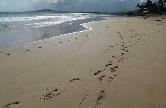 Deluxe Suite On The Beach In Puerto Villamil, Isla Isabela (Read Ad First)