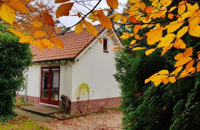 Dennenhuis