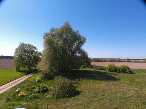 Der Landhof Weide