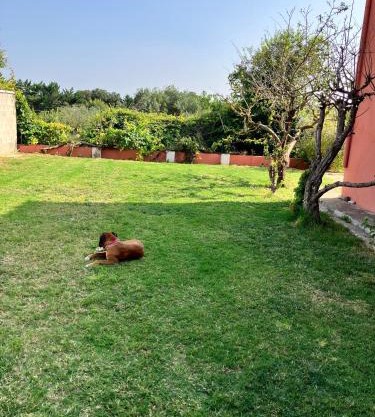 Descanso del GUERRERO
