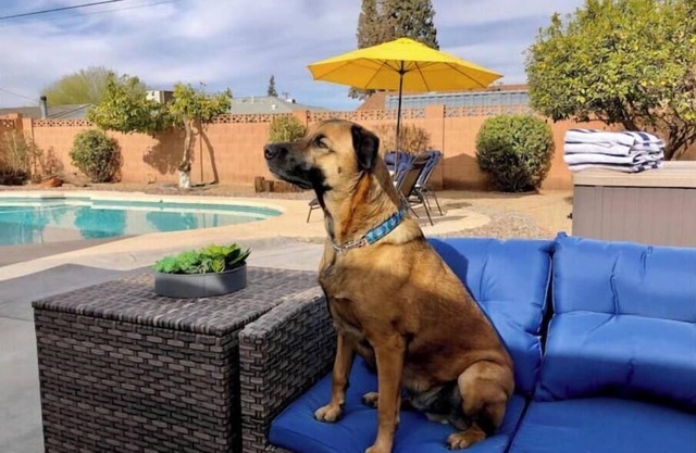 Desert Jewel: Heated pool, hot tub, games just 10min to Old Town!