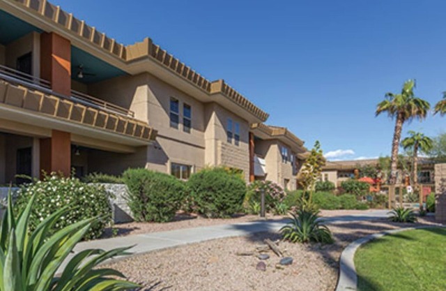 Desert Oasis-Resort Fun