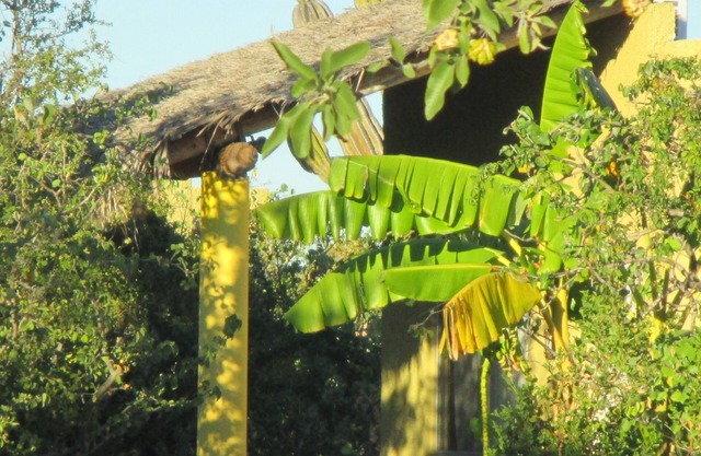 Desert Oasis with swimming pool, BBQ Wifi and outdoor firepit, bird watching