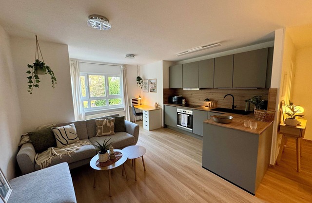 Design Apartment I Center I Green