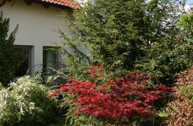 Detached, comfortably furnished holiday home with a wonderful garden