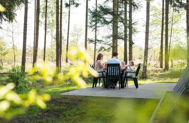 Detached forest villa with dishwasher at De Veluwe