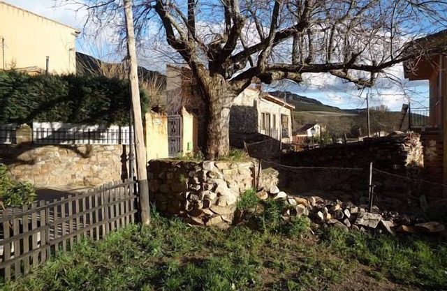 Detached house with garden
