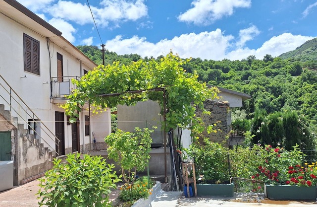 Detached house surrounded by greenery