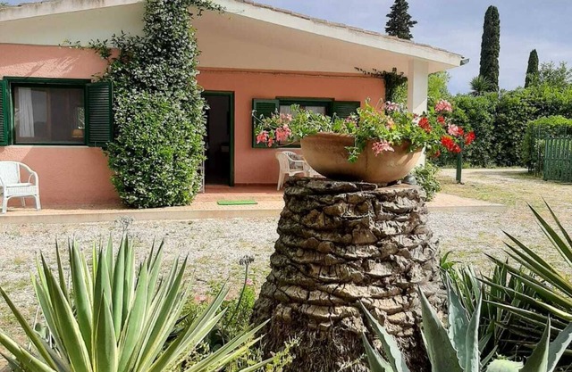 Detached villa surrounded by greenery and within walking distance from the sea