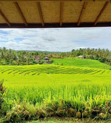 Dewi Nara Guest House By Balitrees