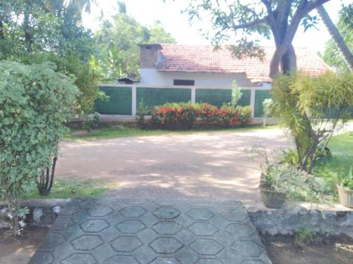 Diana's place