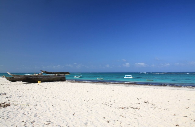 Diani Beachfront Paradise