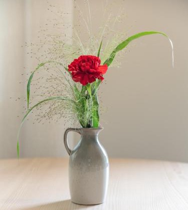Dianthus Apartment