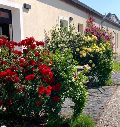 die Senfbude - Klein aber fein - wunderschönes Studio-Apartment mit Terrasse und Stellplatz