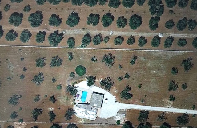 Dimora 13 - an oasis of tranquility among the olive trees