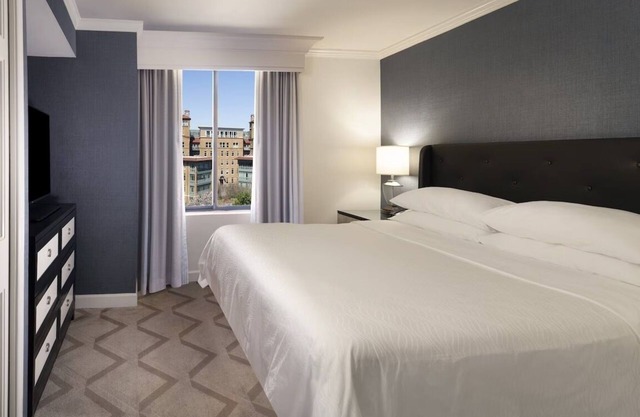 Discover a Haven of Tranquility in the Heart of the City, Pets Allowed!