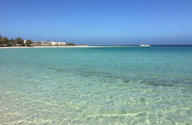 Discovery Parks - Coogee Beach