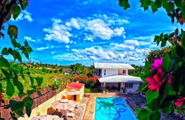 Divers Lodge Plumeria