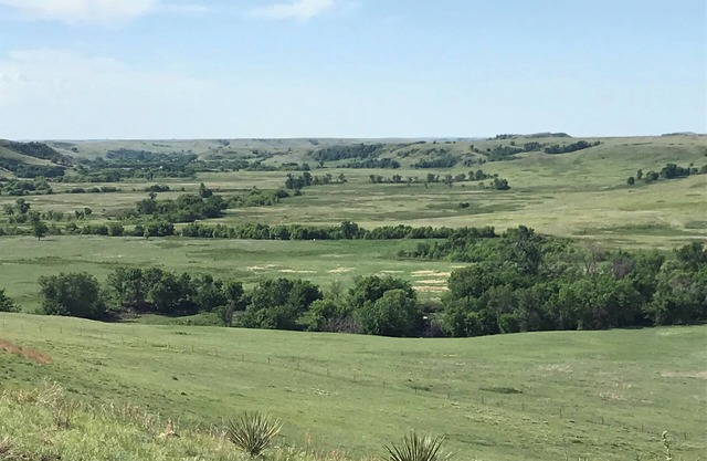 DIY Family run Farm ranch hunts. Pheasants and Prariedog’s.