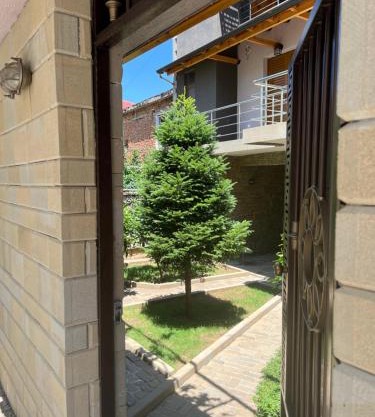 Doctor's House