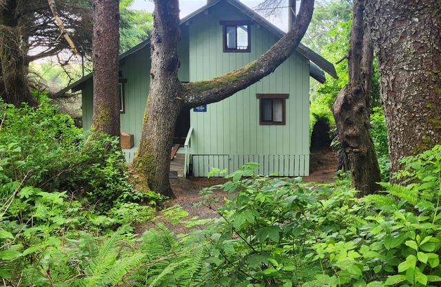 Dog-friendly beachfront cabin with ocean views & private path to beach