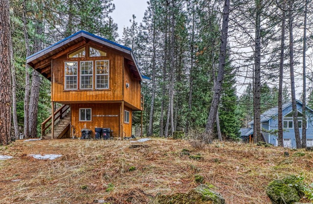 Dog-friendly cabin in the woods with kitchenette & stunning mountain views