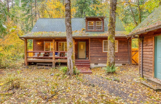 Dog-friendly cabin with deck, fenced yard, & hot tub GAME ROOM COMING SOON!