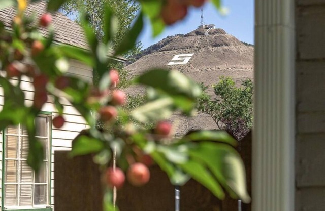 Dog Friendly- Salida Bungalow - Cute In-Town Home!