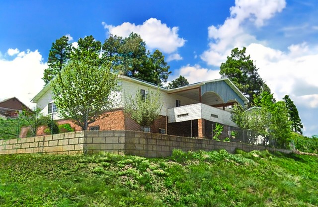 Dog-friendly, spacious home with three living rooms, pool table, & jetted tub
