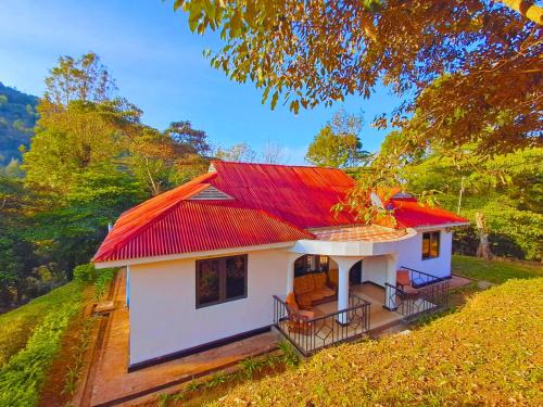 Dole Homes